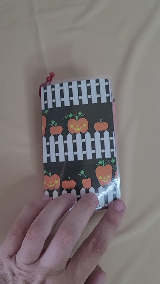 Mini Traveler's Notebook w/Inserts!