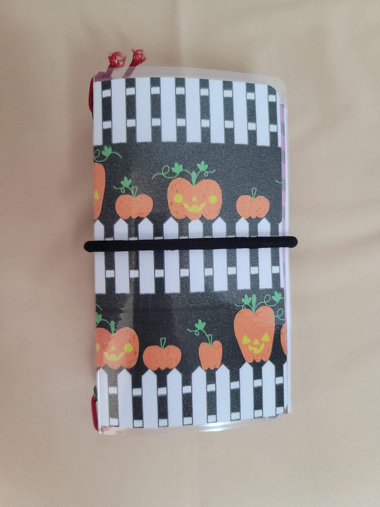 Mini Traveler's Notebook w/Inserts!